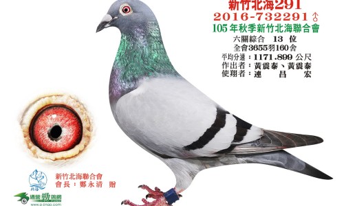 看脸上哪里看出性发作网- 脸部情况在哪里去检查知识,分享看脸诊断疾病