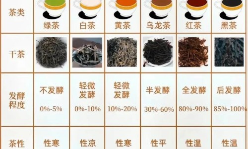 看脸能看出什么病-看脸上哪里看出性发作网- 脸部情况在哪里去检查知识,分享看脸诊断疾病
